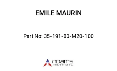 35-191-80-M20-100 35-191-80-M20-100