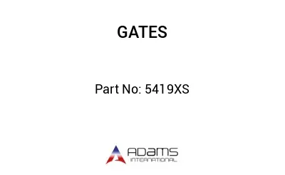 5419XS 5419XS