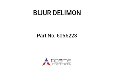 6056223 6056223