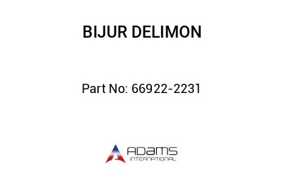 66922-2231 66922-2231