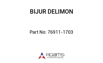 76911-1703 76911-1703