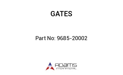 9685-20002 9685-20002