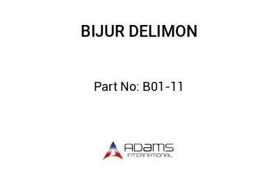 B01-11 B01-11