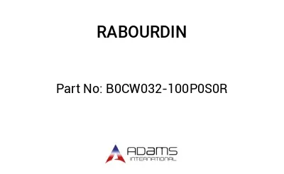 B0CW032-100P0S0R B0CW032-100P0S0R