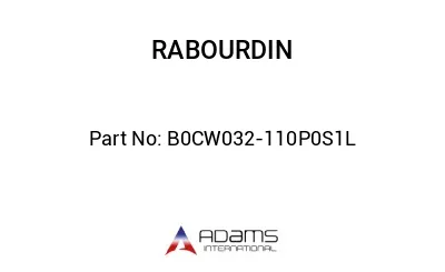 B0CW032-110P0S1L B0CW032-110P0S1L