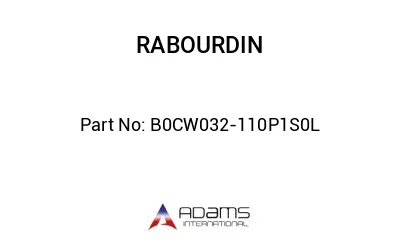 B0CW032-110P1S0L B0CW032-110P1S0L