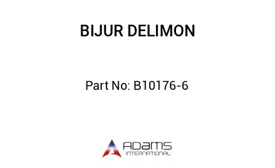 B10176-6 B10176-6