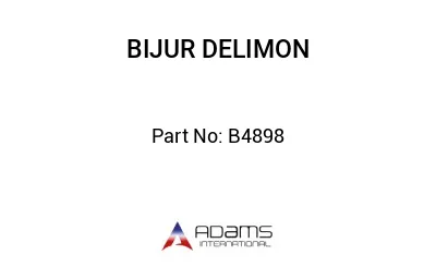 B4898 B4898