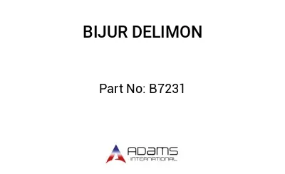 B7231 B7231