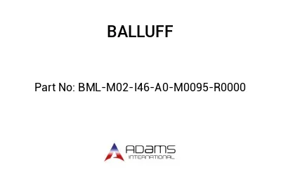 BML-M02-I46-A0-M0095-R0000									