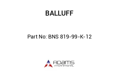 BNS 819-99-K-12