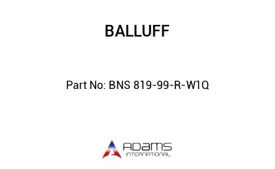 BNS 819-99-R-W1Q									