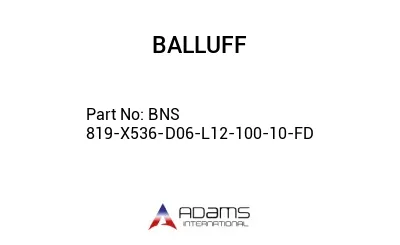 BNS 819-X536-D06-L12-100-10-FD									