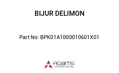BPK01A1000010601X01 BPK01A1000010601X01