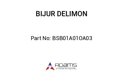 BSB01A01OA03 BSB01A01OA03