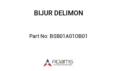 BSB01A01OB01 BSB01A01OB01