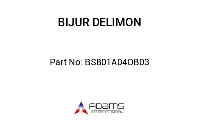 BSB01A04OB03 BSB01A04OB03