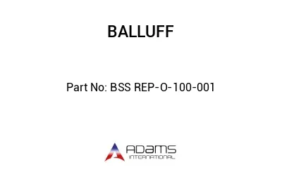 BSS REP-O-100-001									