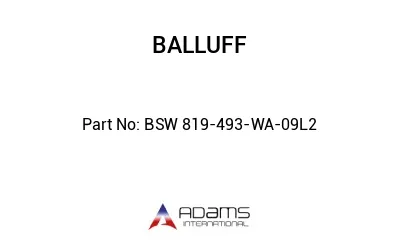 BSW 819-493-WA-09L2									