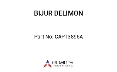 CAP13896A CAP13896A