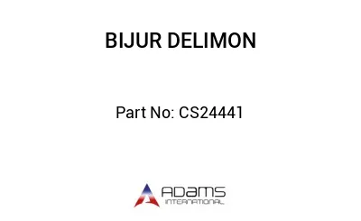 CS24441 CS24441
