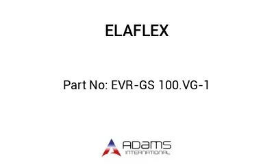 EVR-GS 100.VG-1 EVR-GS 100.VG-1