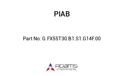 G.FX55T30.B1.S1.G14F.00 G.FX55T30.B1.S1.G14F.00
