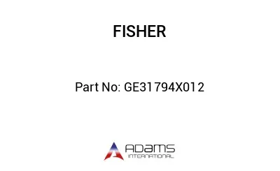 GE31794X012 GE31794X012